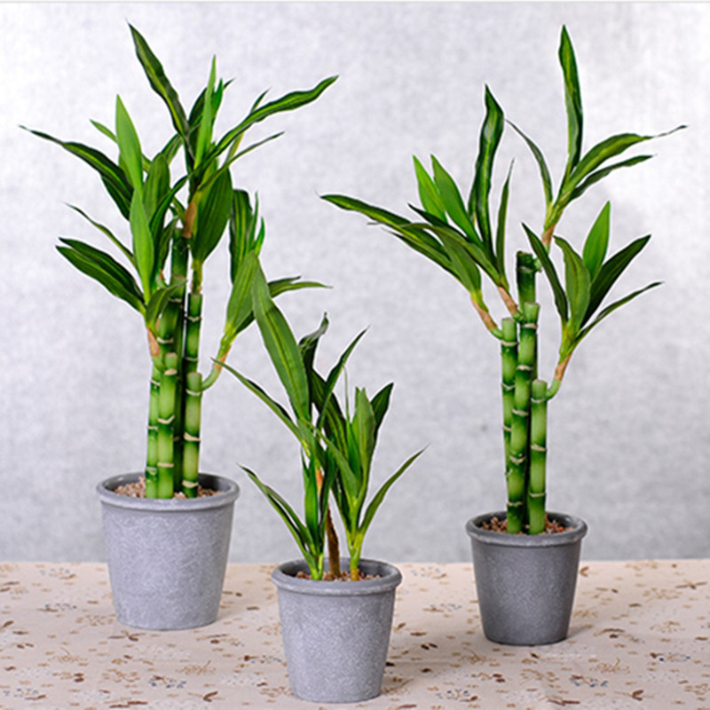 新しい 40 センチメートル rFtificial 幸運の竹 - Aquarium Marine Plants のレビューと価格