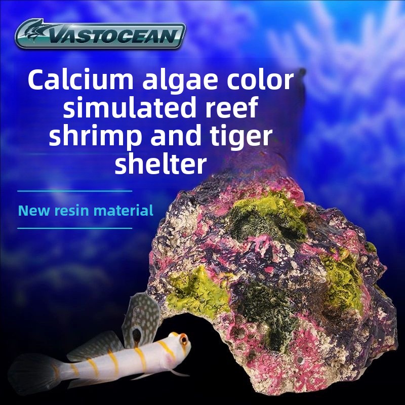 ヴァストオーシャン 海水水槽用洞窟-サンゴ礁に安全な隠れ家  - Marine Aquarium Hermit Crab のレビューと価格