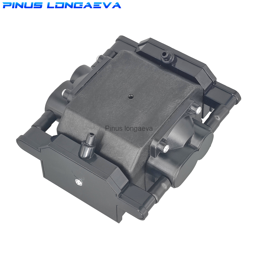 Pinus Longaeva 30L/min 30kPa 低 - Marine Aquarium Ozone Generator のレビューと価格