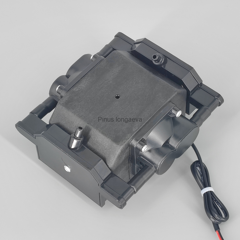 Pinus Longaeva 30L/min 30kPa 低 - Marine Aquarium Ozone Generator のレビューと価格