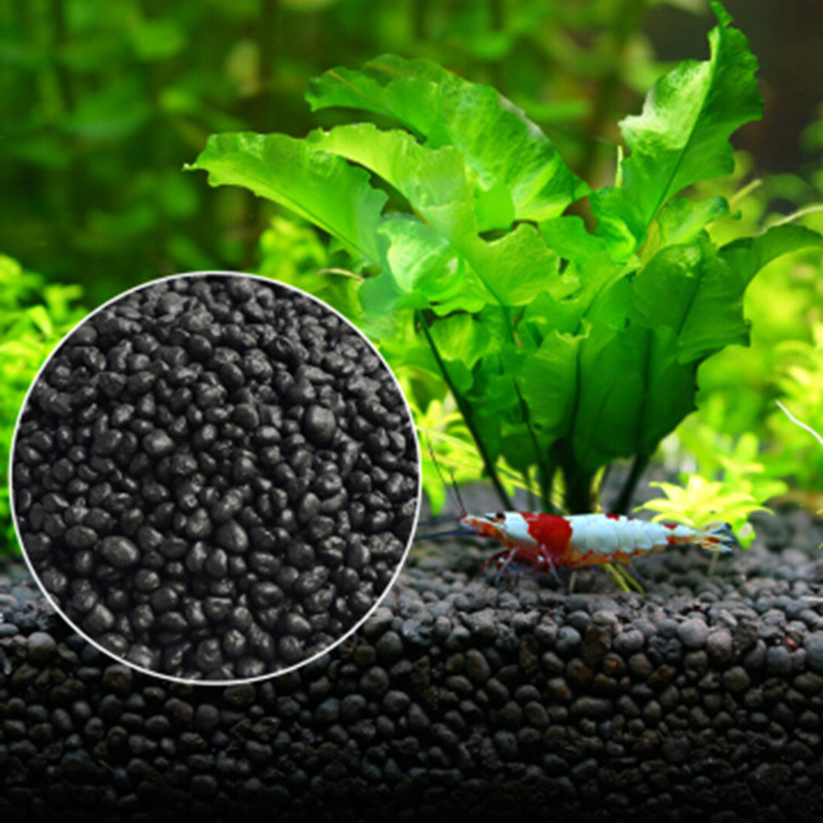 水族館植物の種子,水槽の素材,砂,土壌肥料,魚の手入れ,淡水 - Aquarium Marine Plants のレビューと価格