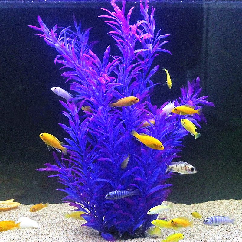 人工水槽50cm,珍しい植物,水族館,偽の竹の葉,水草,プラ - Aquarium Marine Plants のレビューと価格