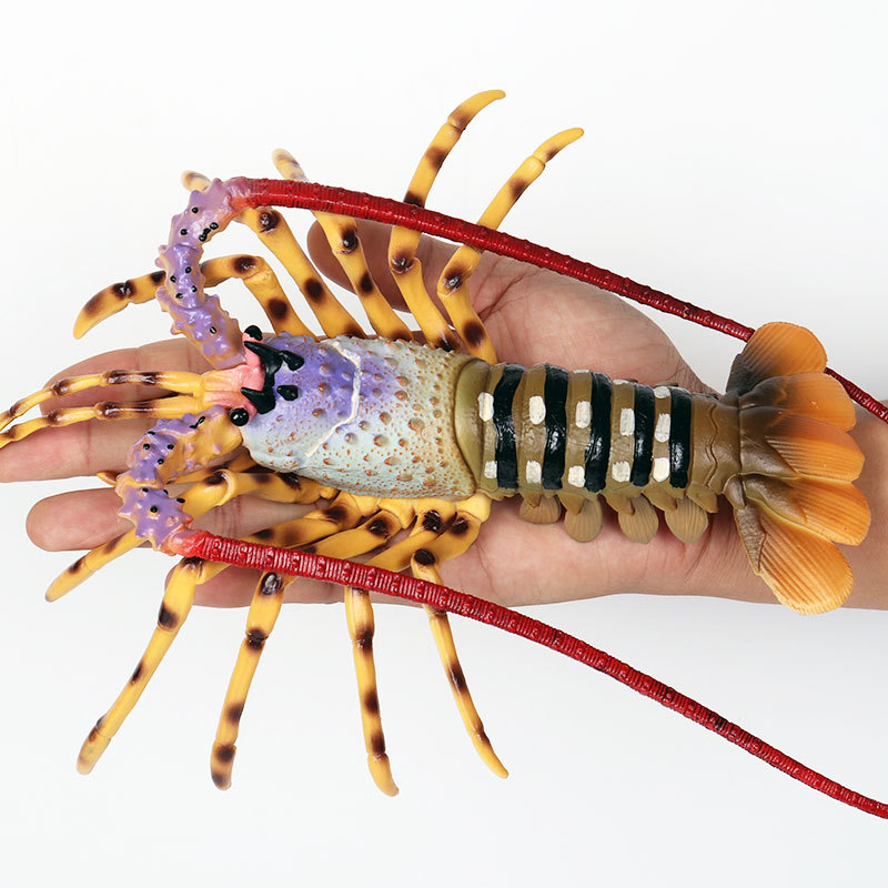 リアルな海洋生物フィギュア アメリカンロブスター キングクラ - Marine Aquarium Hermit Crab のレビューと価格