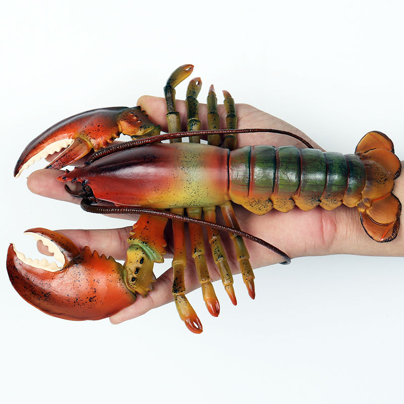 リアルな海洋生物フィギュア アメリカンロブスター キングクラ - Marine Aquarium Hermit Crab のレビューと価格